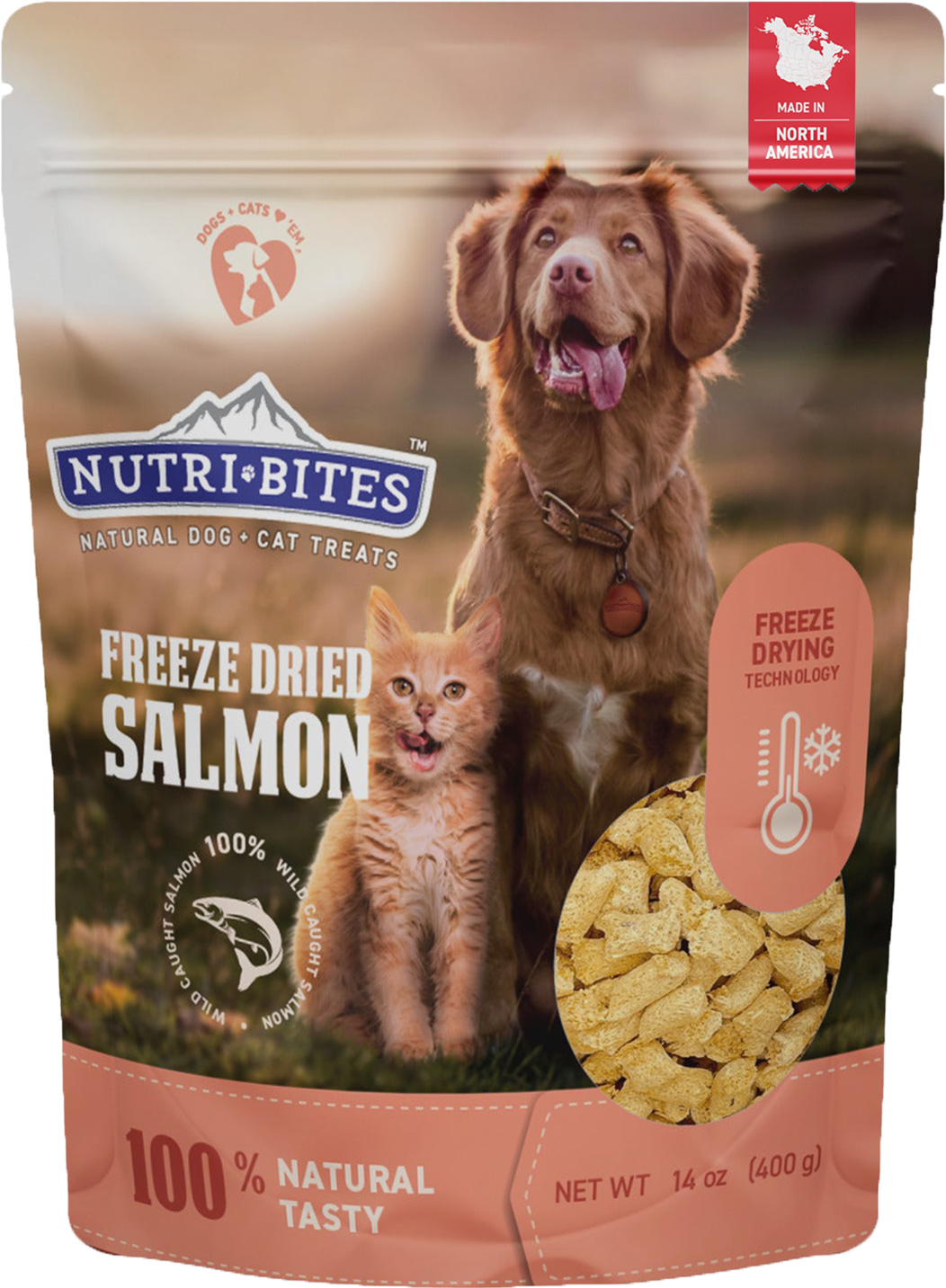 Freeze Dried Salmon Treats
