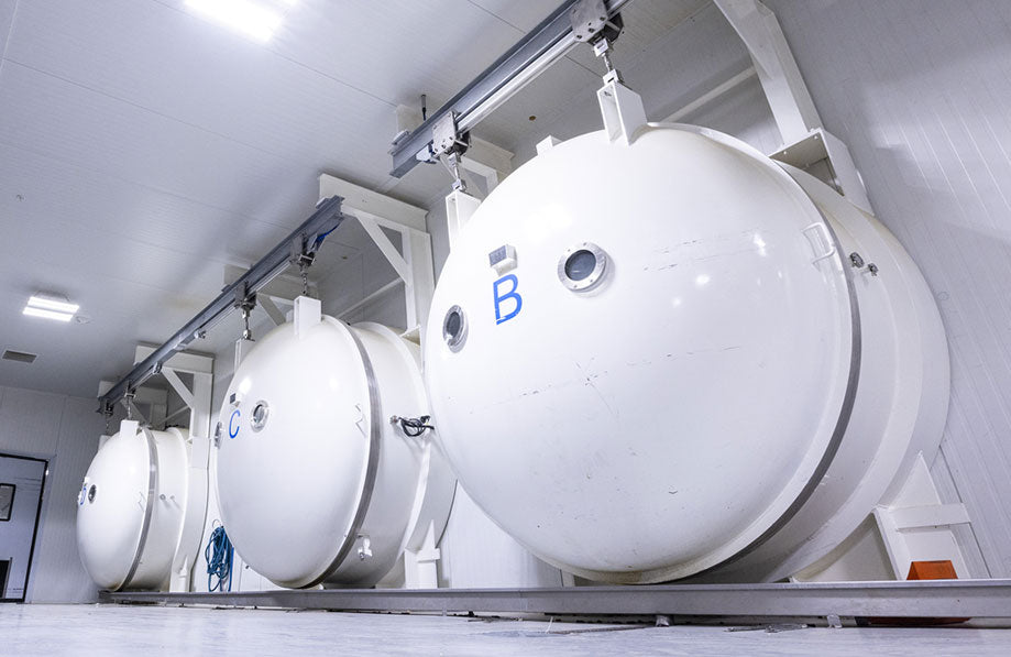 Freeze-Drying Technology