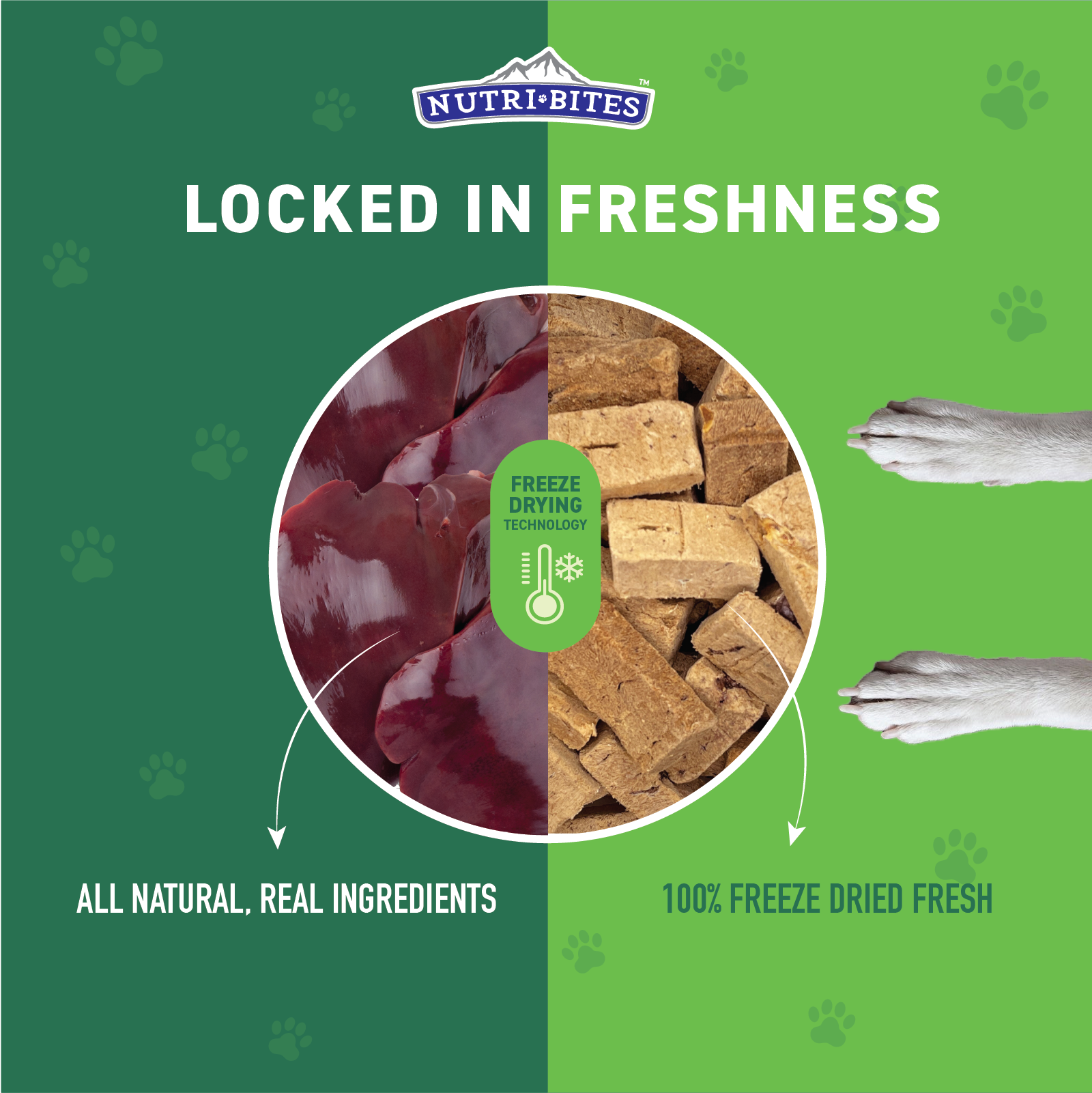 Freeze Dried Beef Liver Treats