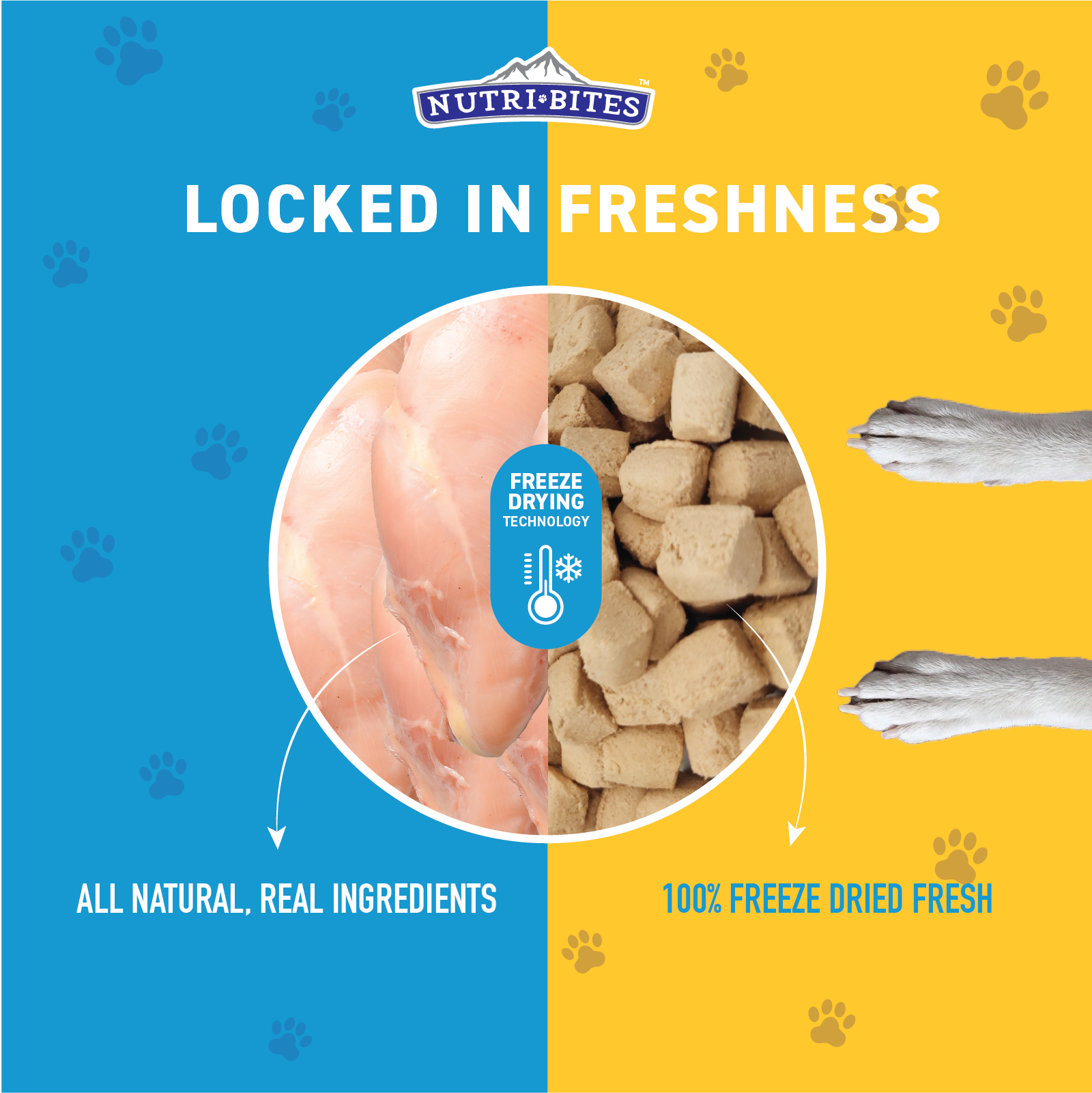 Freeze Dried Chicken Treats
