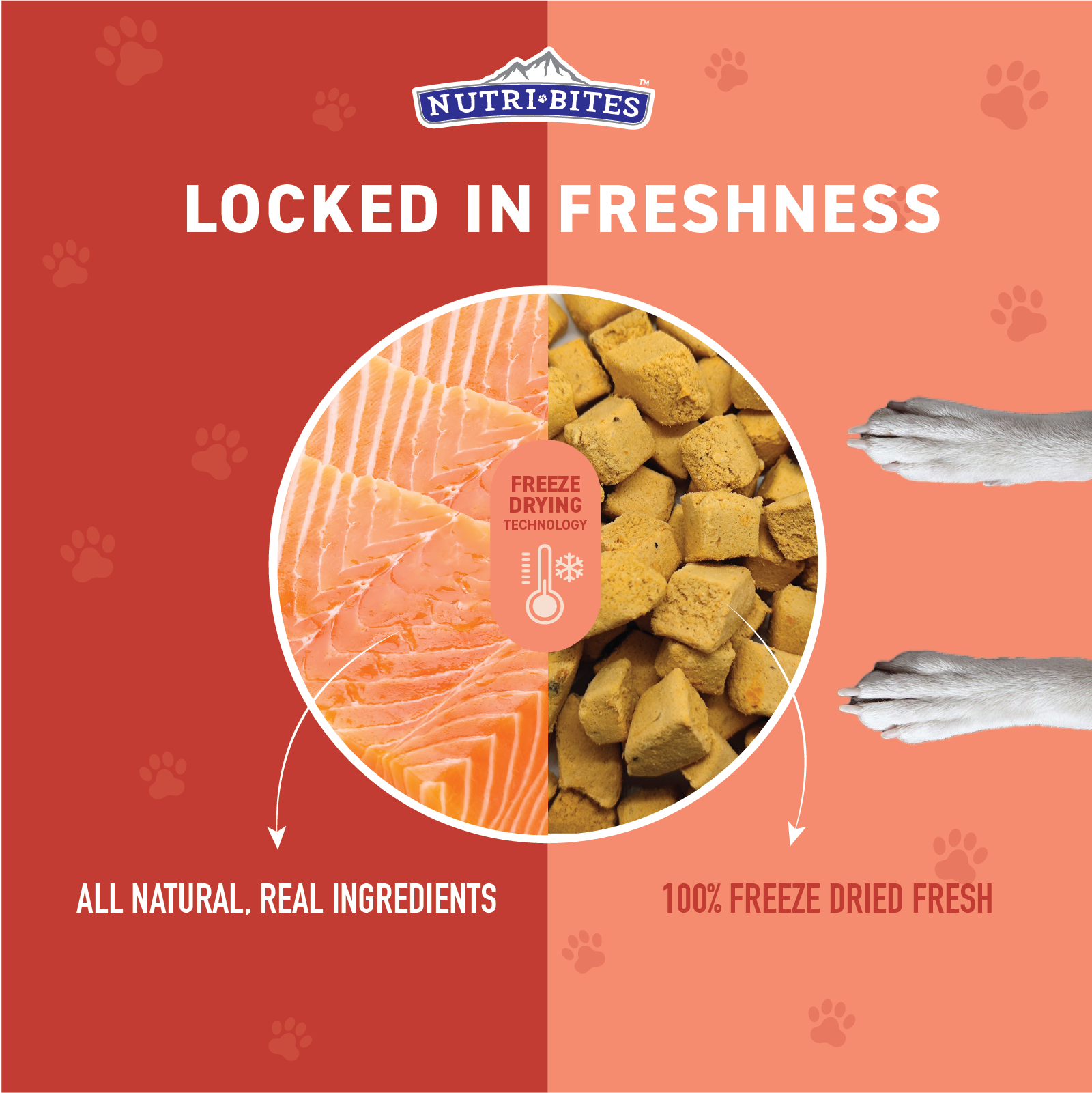 Freeze Dried Salmon Treats