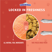 Freeze Dried Salmon Treats