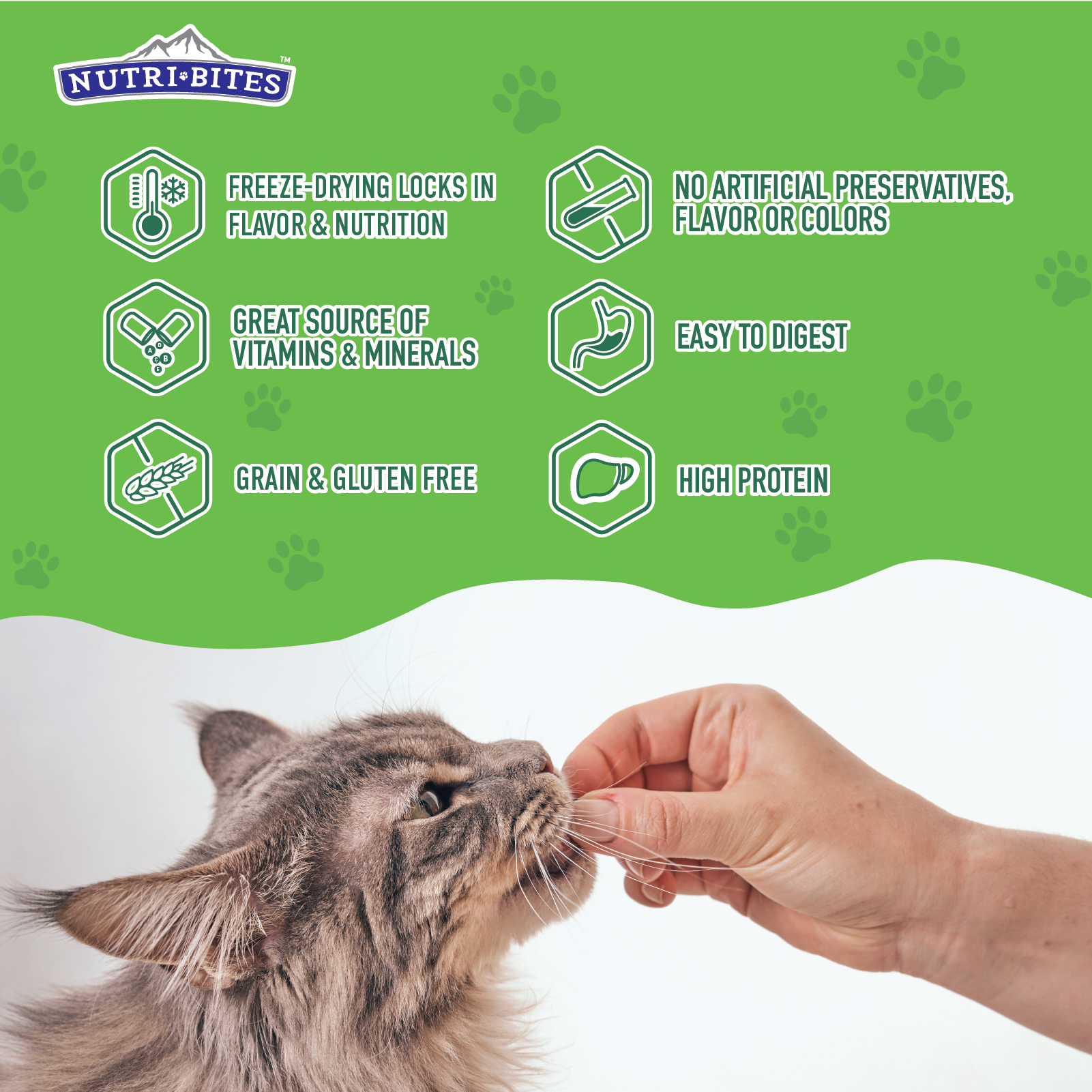 Freeze Dried Beef Liver Treats