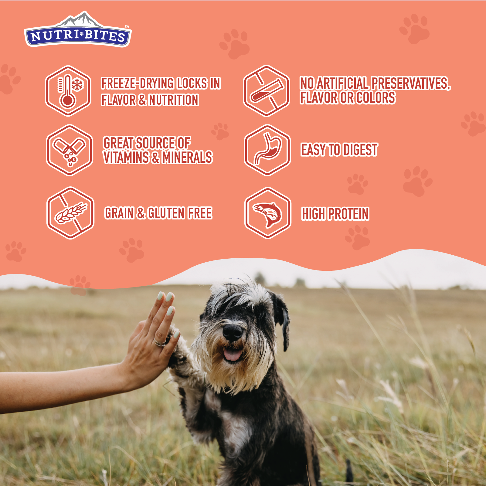 Freeze Dried Salmon Treats