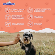 Freeze Dried Salmon Treats