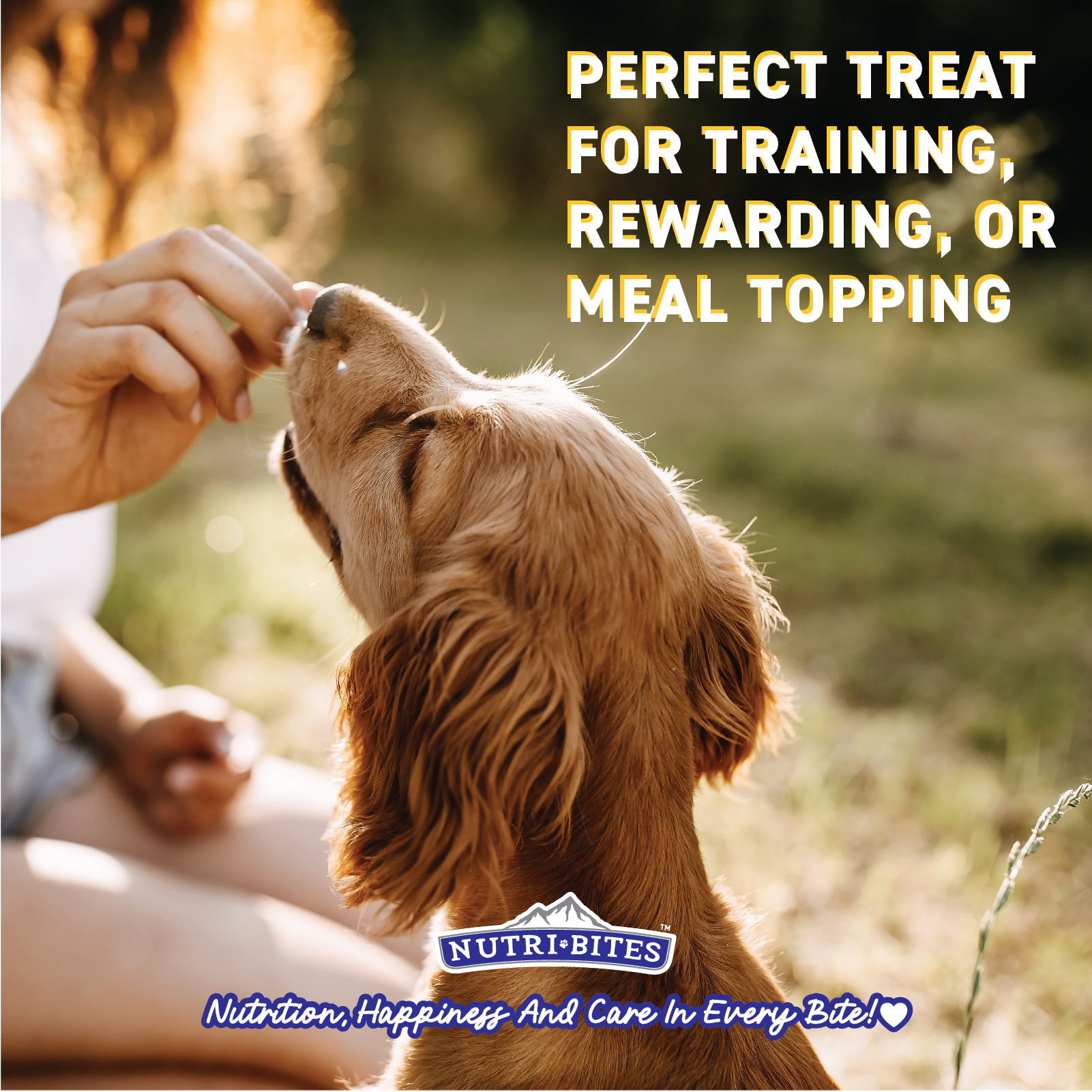 Freeze Dried Salmon Treats