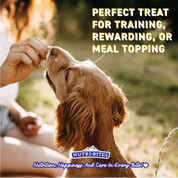 Freeze Dried Salmon Treats
