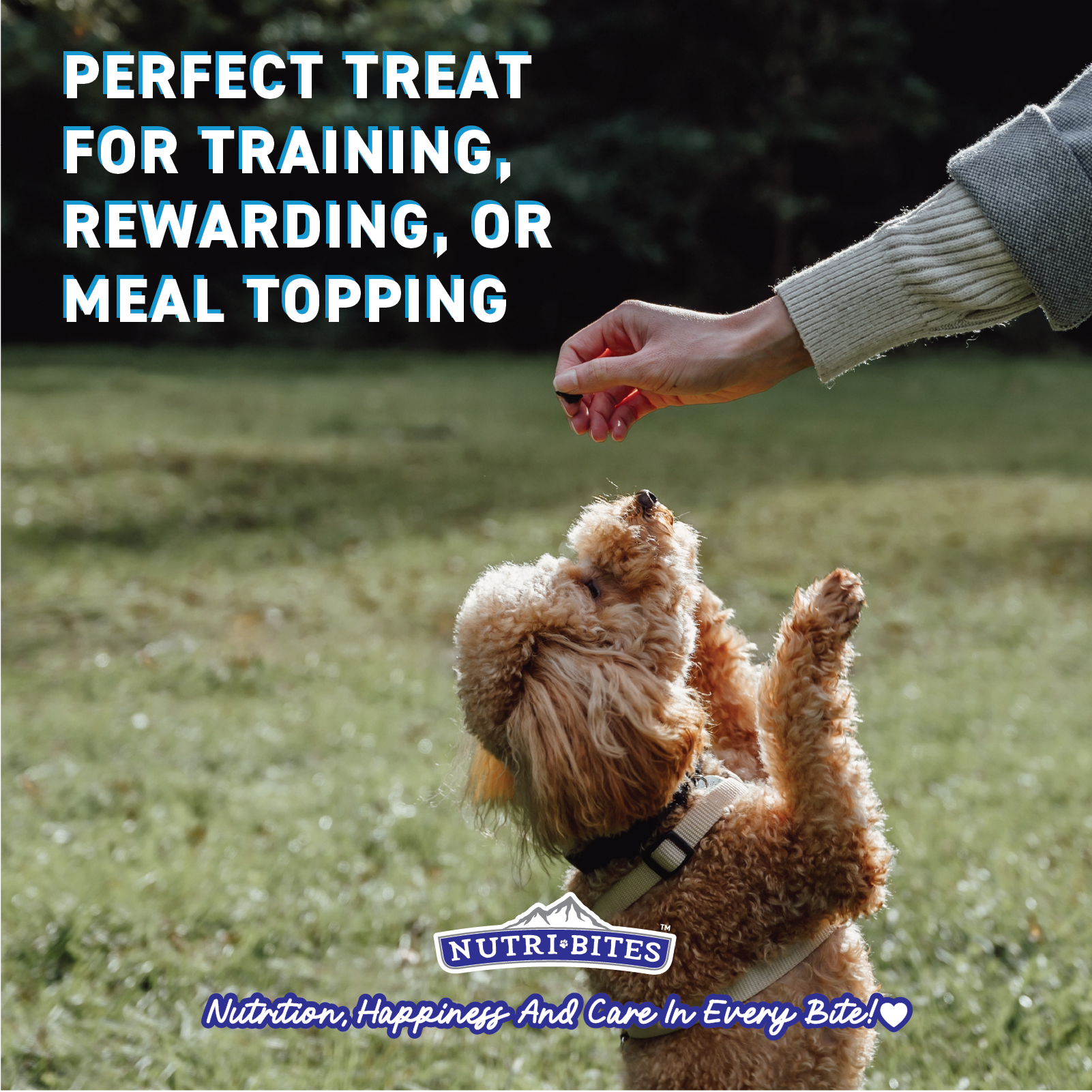 Freeze Dried Chicken Treats