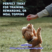 Freeze Dried Chicken Treats