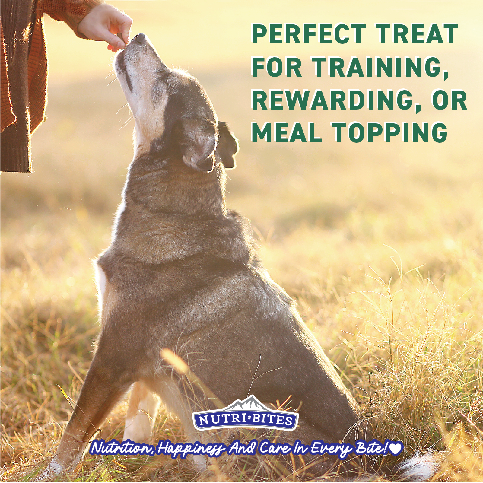 Freeze Dried Beef Liver Treats