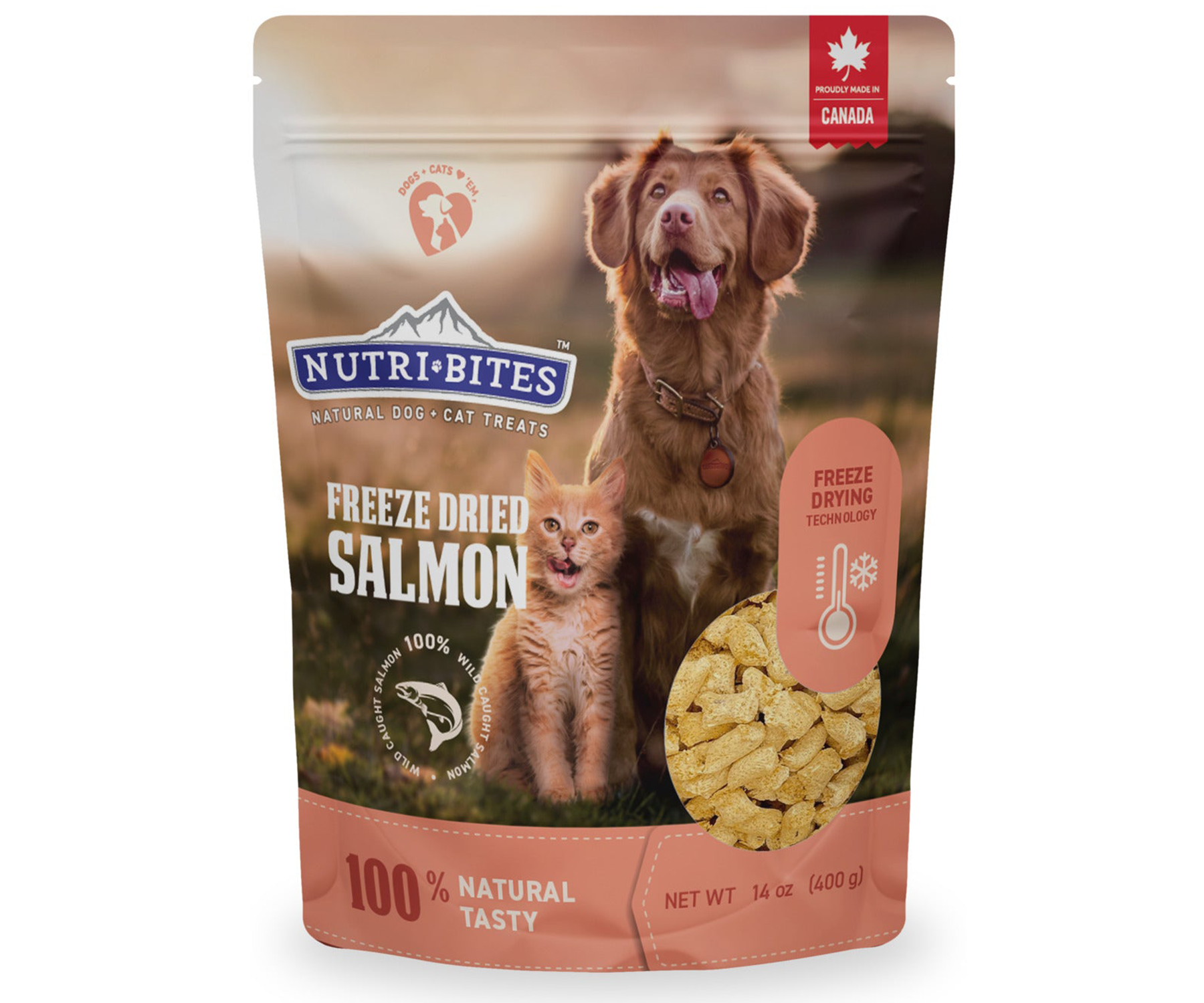Freeze Dried Salmon Treats nutribitespet