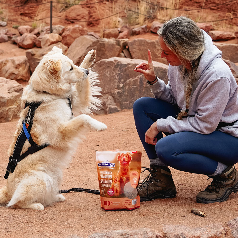 dog-ugc.jpg