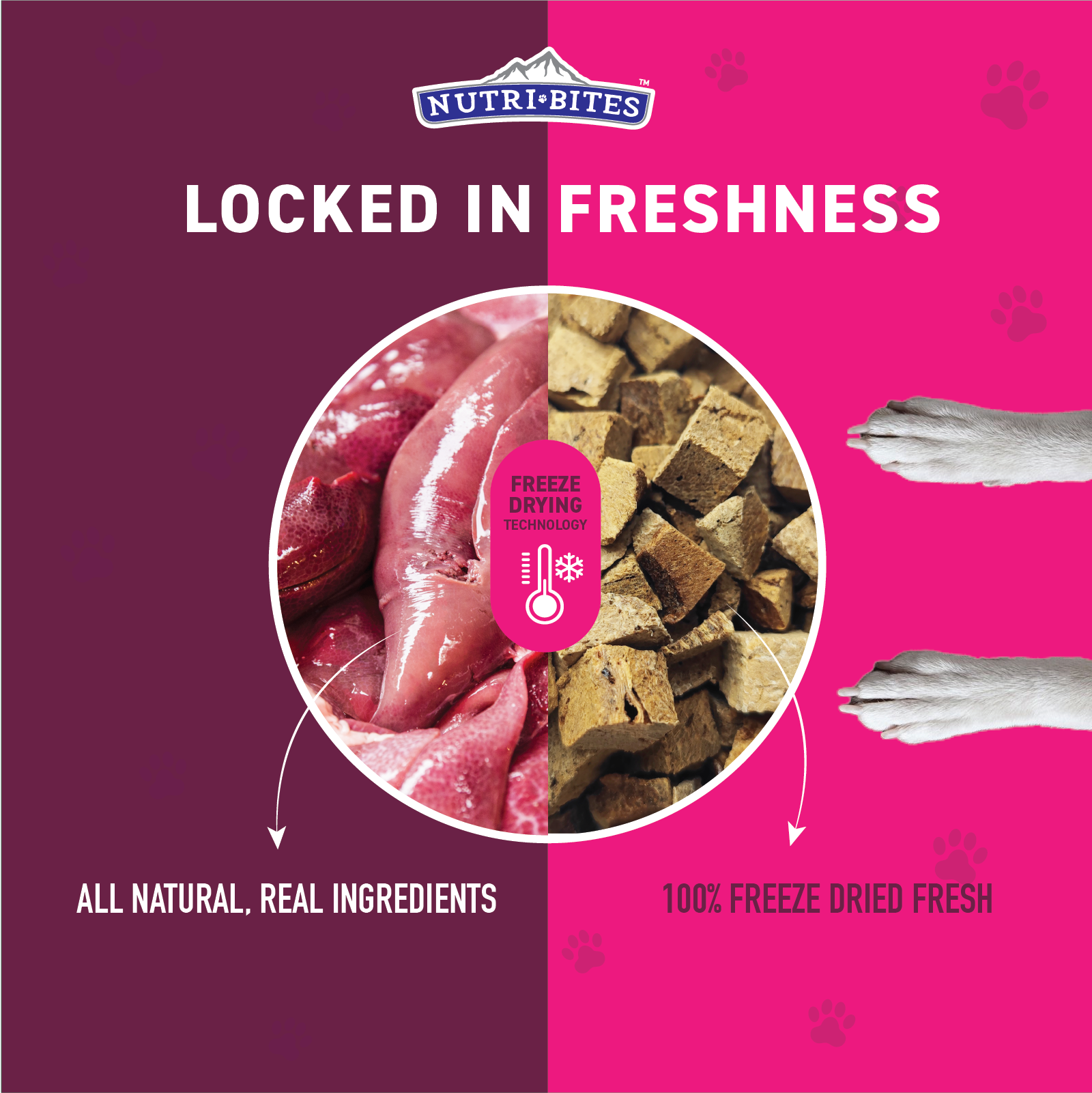 Freeze Dried Pork Liver Treats