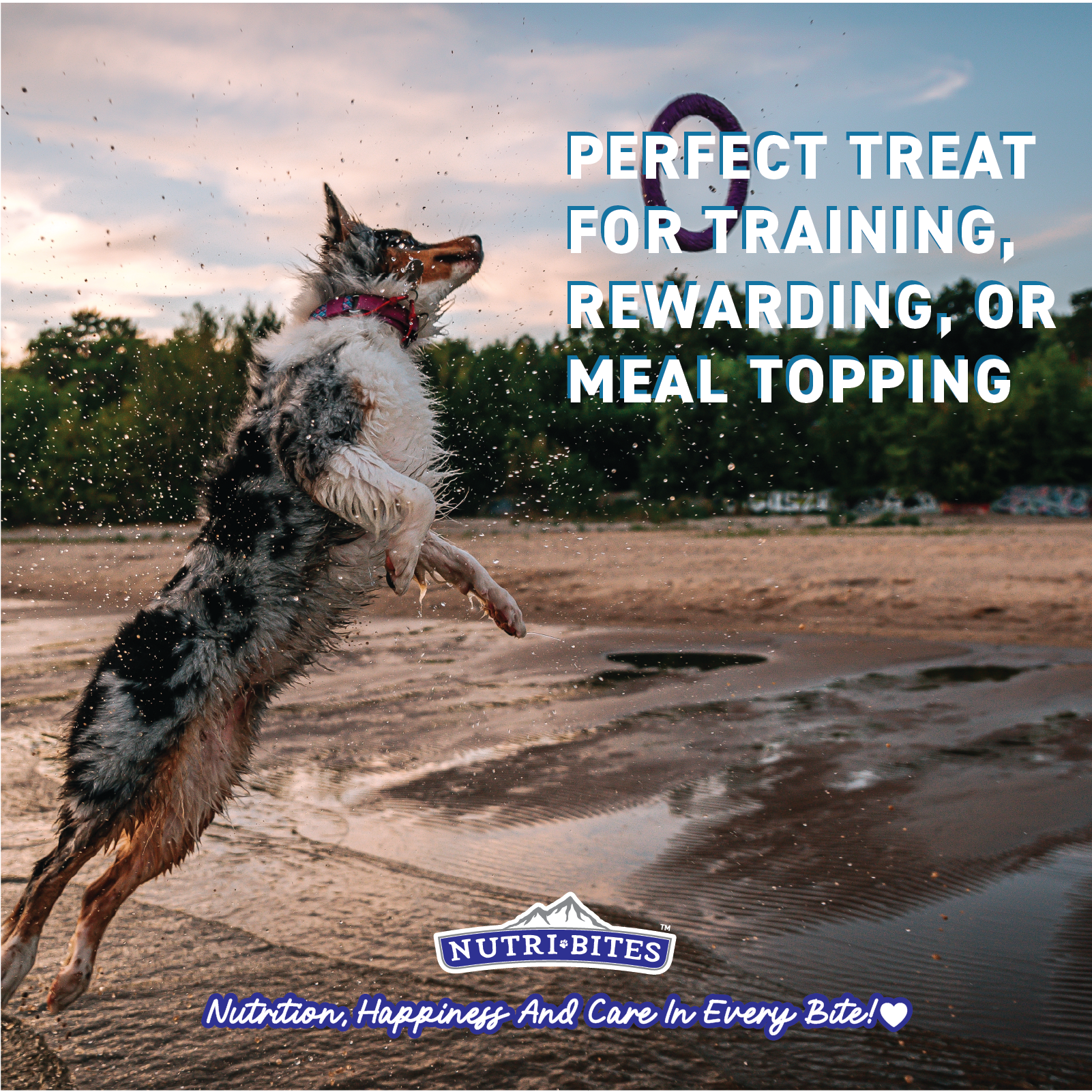 Freeze Dried Whitefish Treats