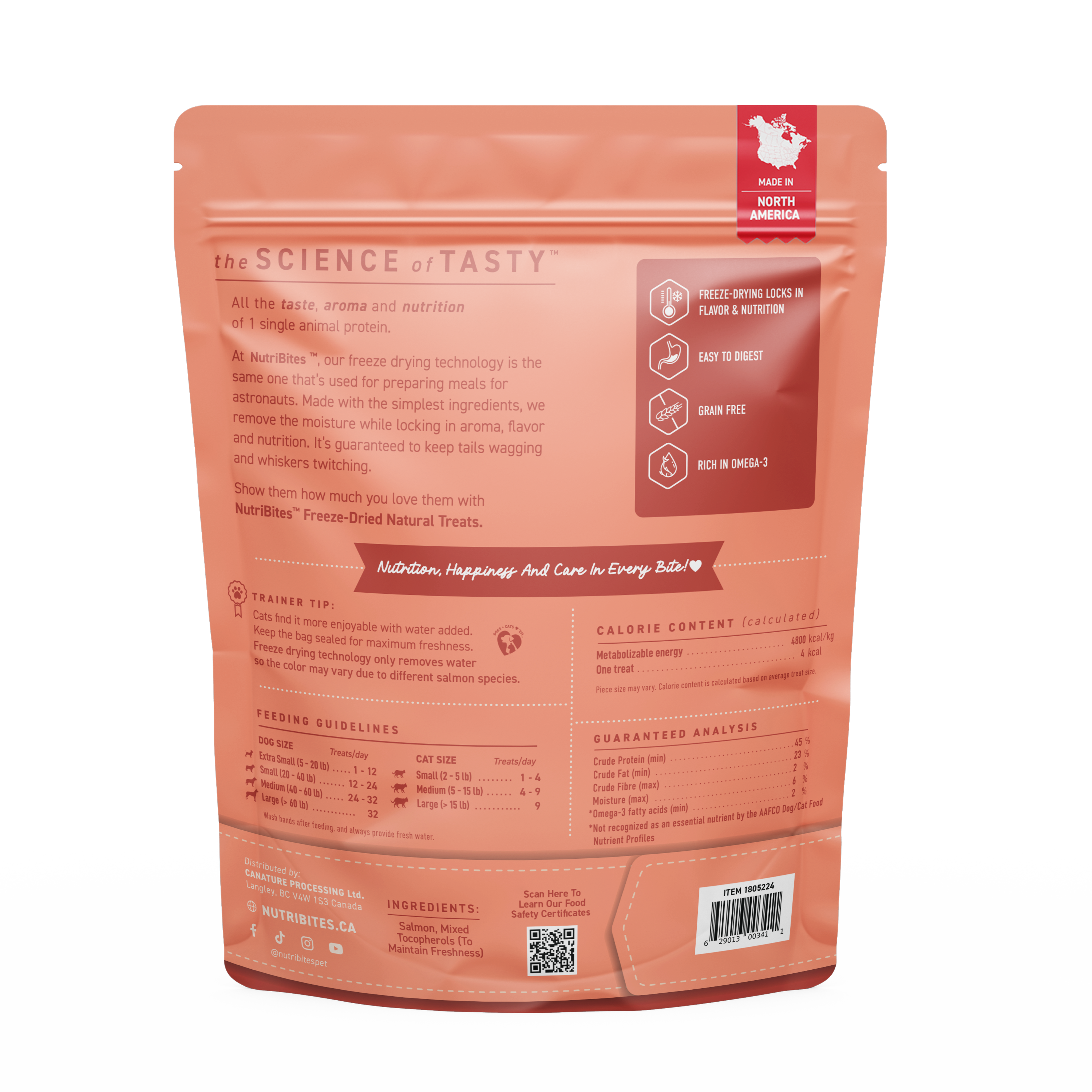 Freeze Dried Salmon Treats